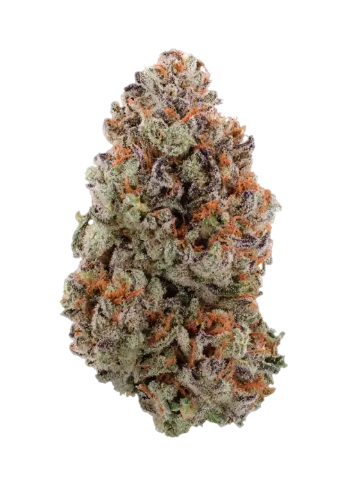 Eight Wonder by Watson Supply
