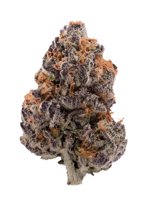 Magic Berries