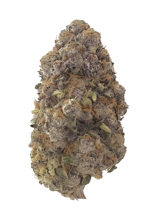 HImothy by Craft Farmer
