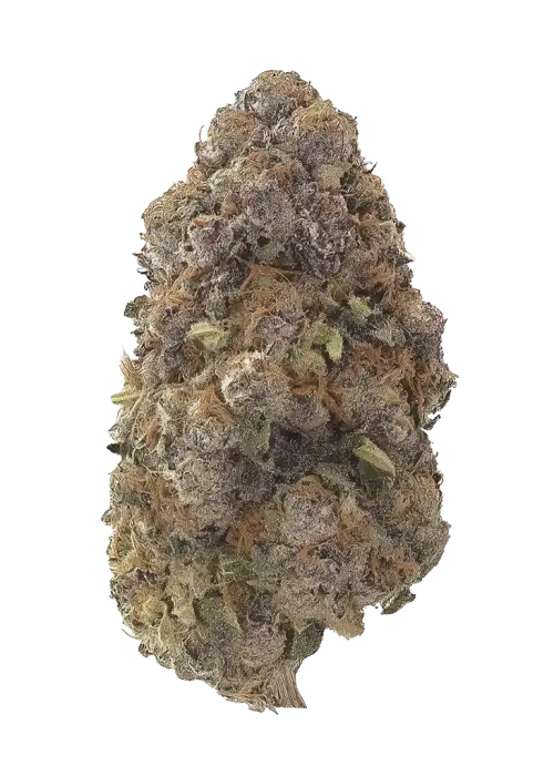 HImothy by Craft Farmer