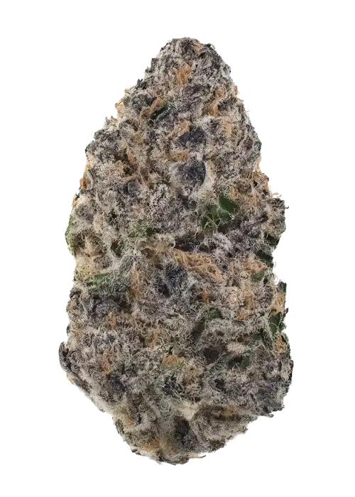 Triangle Kush BXX