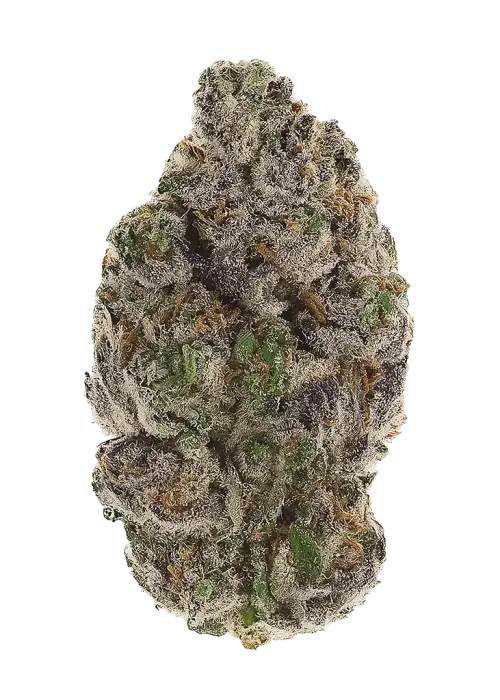 Tiki Sugar F2