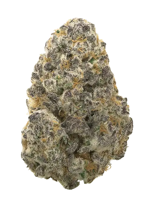 Chrome Frost