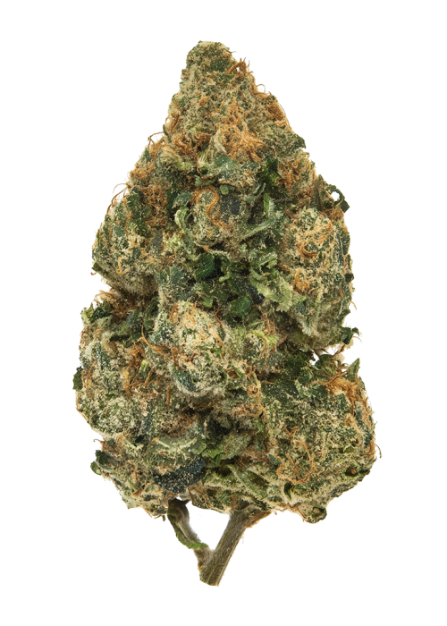 Lemon Og Sours