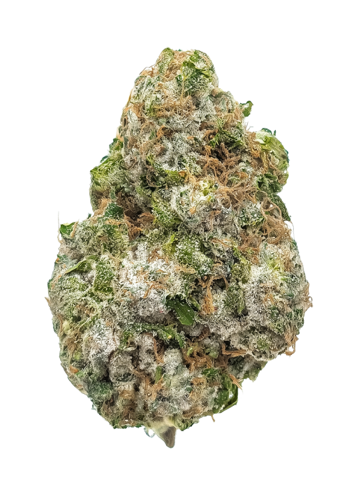 Heliotropic