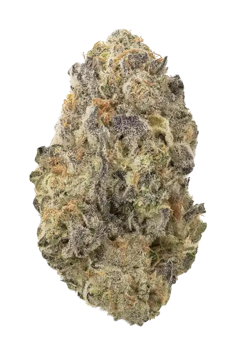 Gasfarm