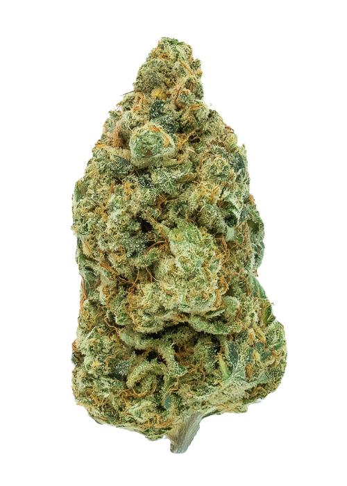 White Rabbit by Alien Genetics