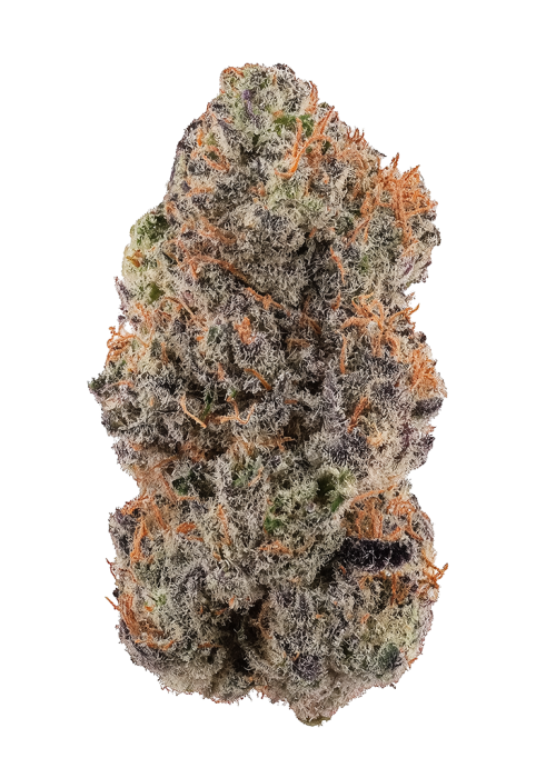 Silver Mist by Huckleberry Hill Farms