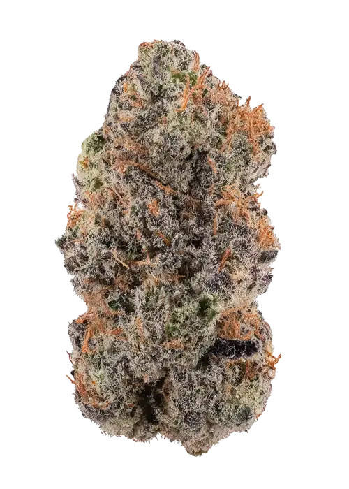 Silver Mist by Huckleberry Hill Farms