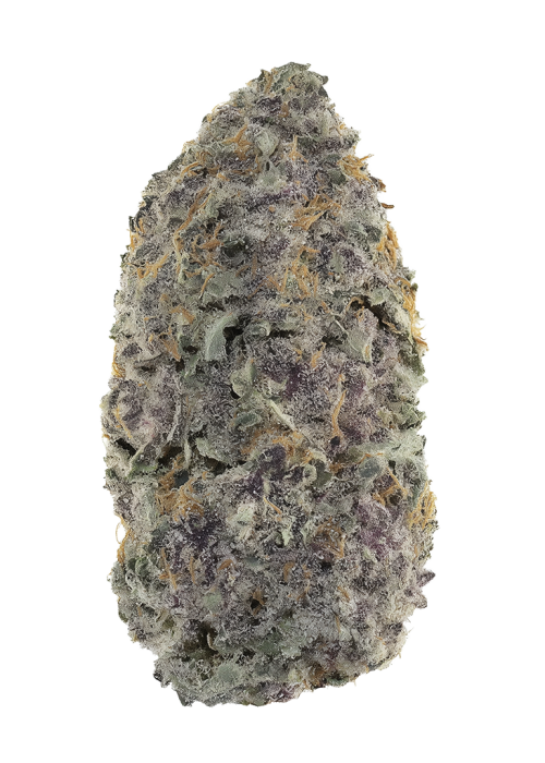 Colombian Cap Junky