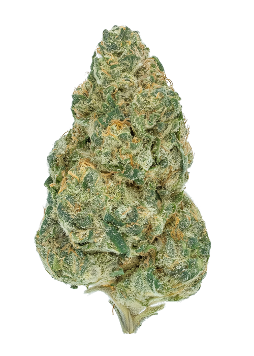 Lemon Cooler by Serge Cannabis