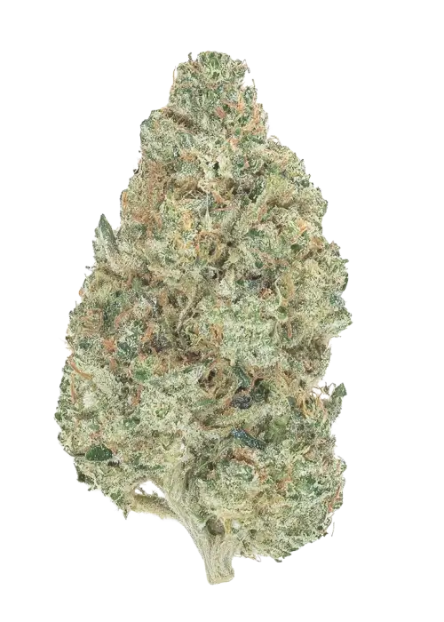 Jerry Rolls