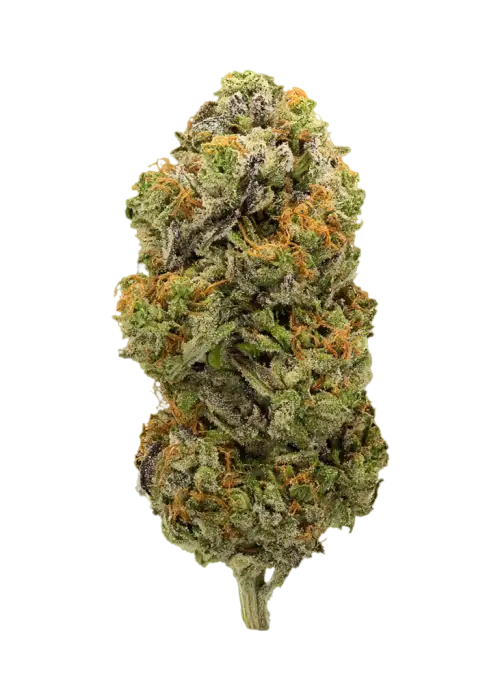 Mint Condition by High Grade Selections