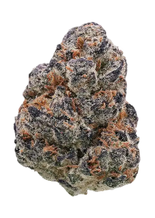 Blue Vanilla
