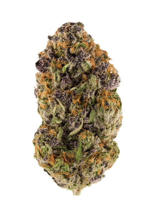 Cherry Cobbler by High Grade Selections