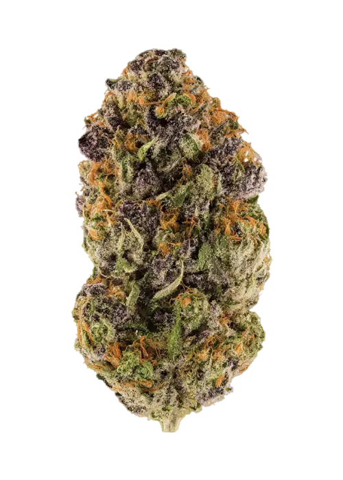 Cherry Cobbler by High Grade Selections