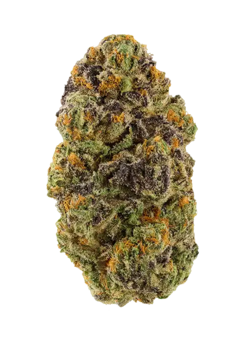 Orange Waferz