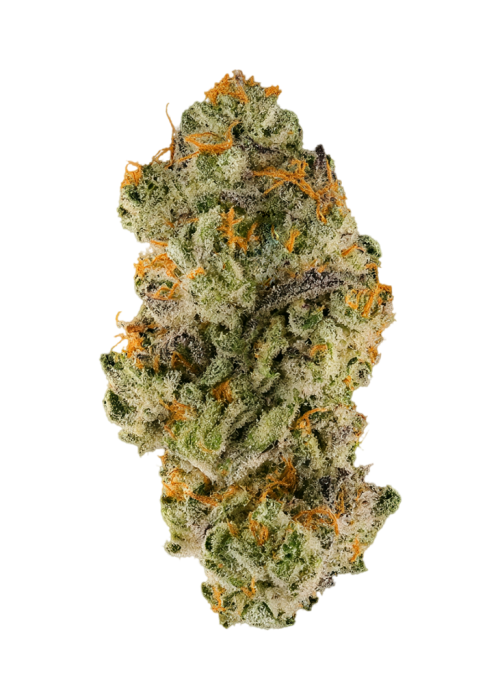 Cap Junky S1