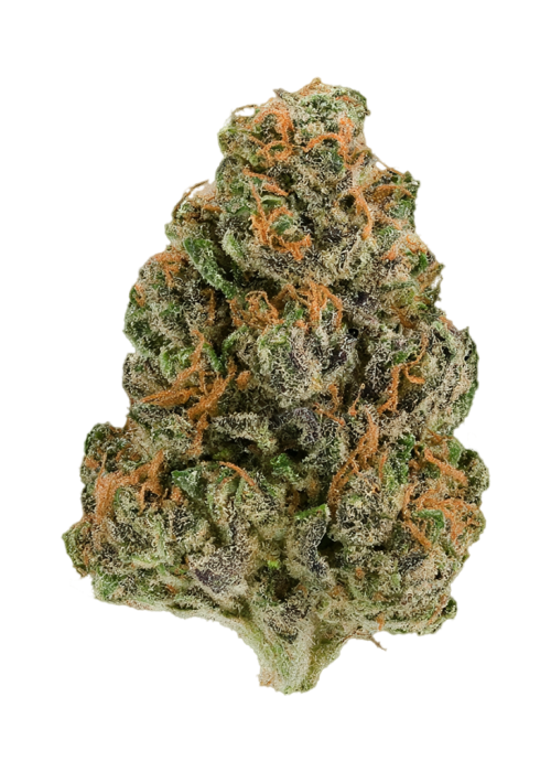 Smoothie by Wizard Trees