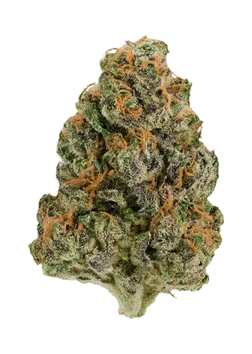 Smoothie by Wizard Trees