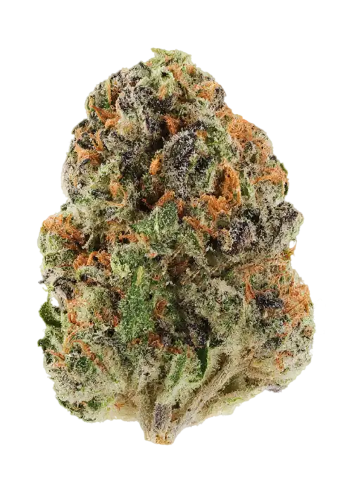 Ghost Ape