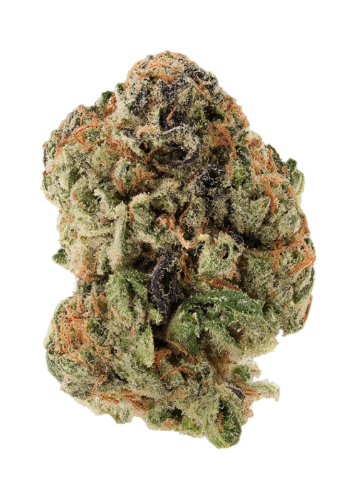 Afghani Cheese by Crockett Family Farms