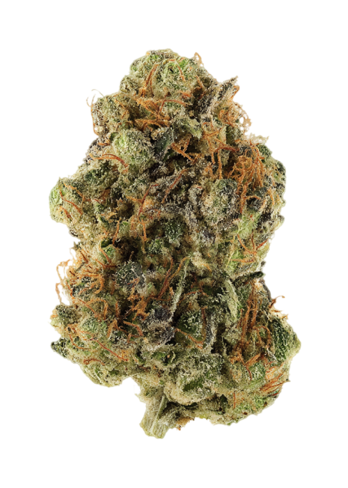 Grape Louie