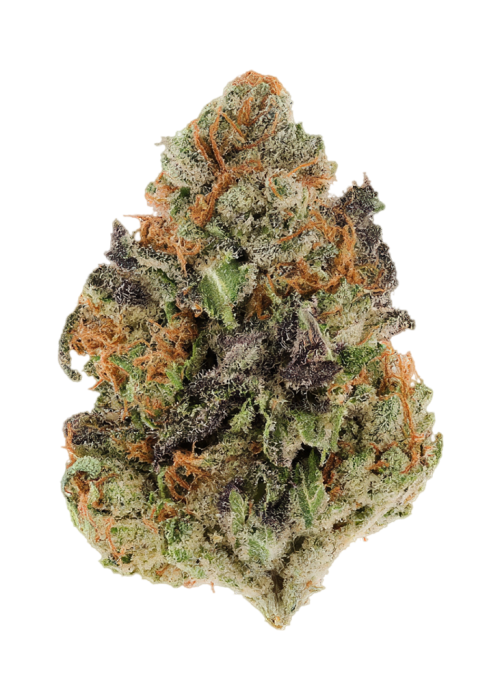 Baja Grape