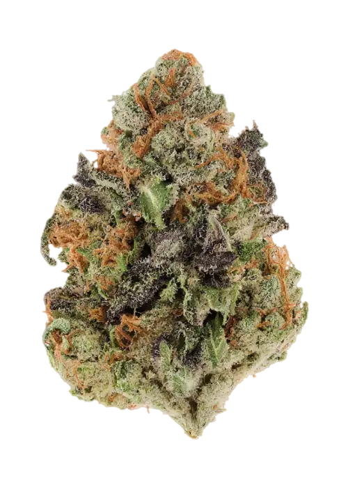 Baja Grape