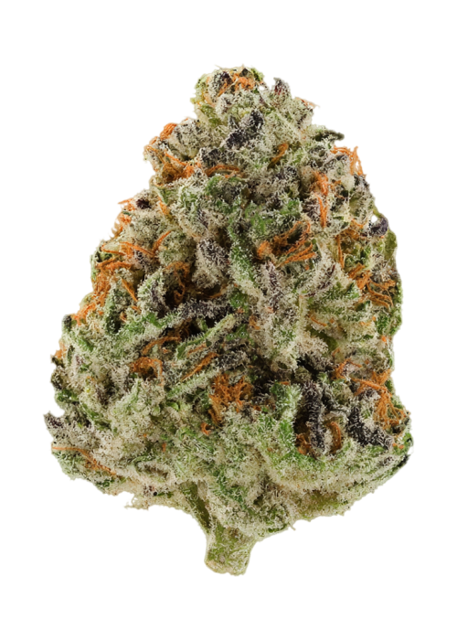 Grapeful Ape