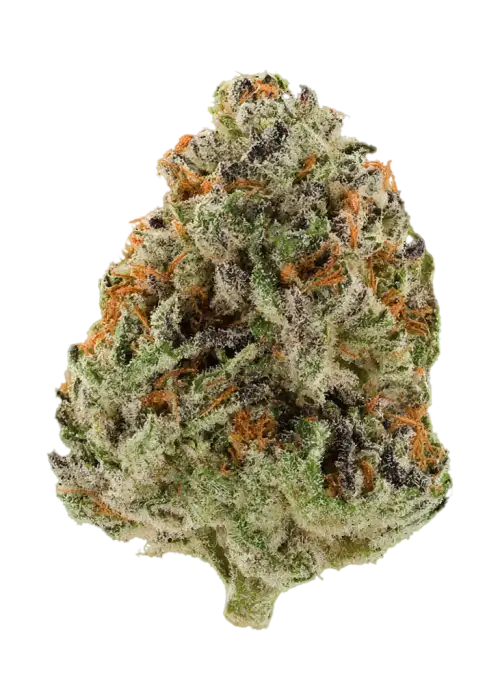 Grapeful Ape