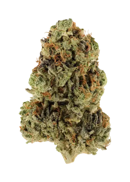 Afghani Spritzer