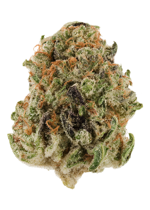 Afghani Bananas
