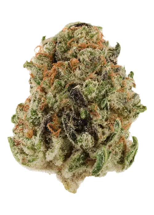 Afghani Bananas