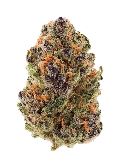 Cherry Picker by Crockett Family Farms