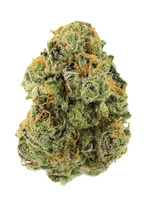 Lemon Affie