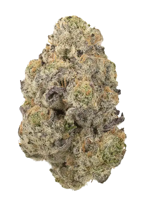 Comfort Zone by Zaba Cannabis