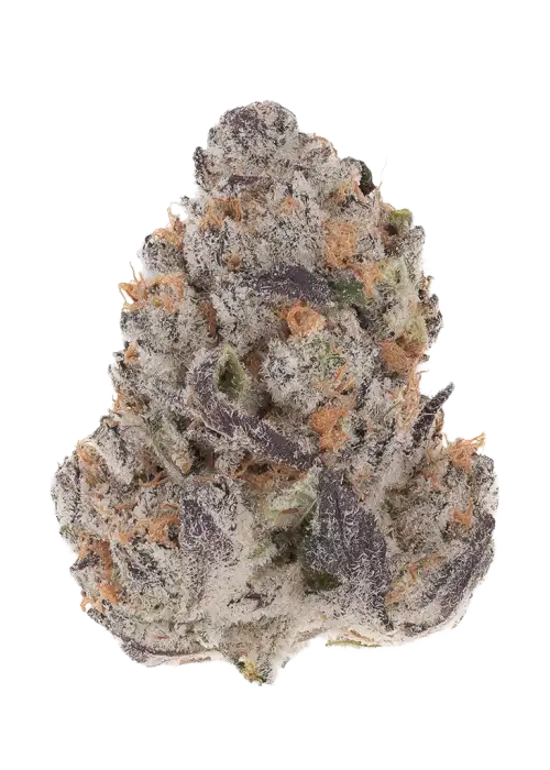 Deepwater Cherry