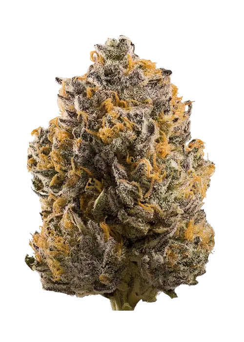 Super Berry Pound Cake