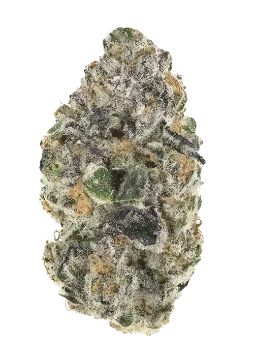 Burstacular