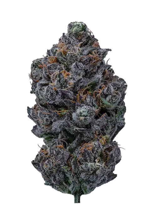Onyx by Connected Cannabis Co