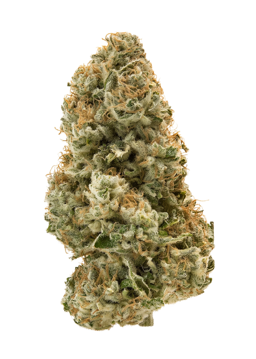 Moonbutter
