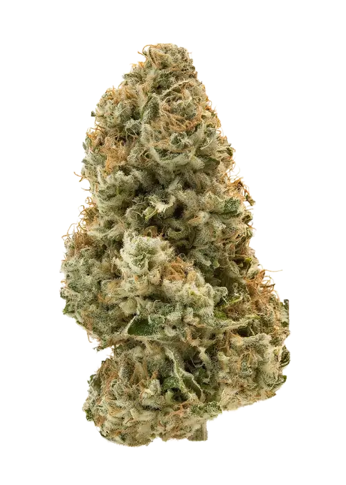 Moonbutter