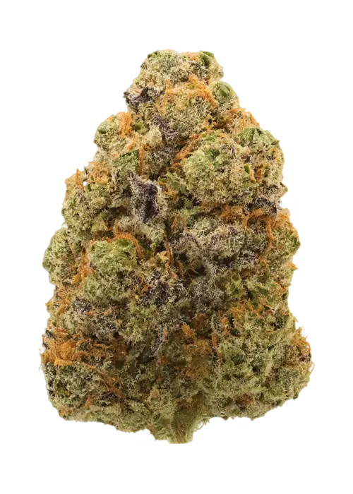 Blue Zlime