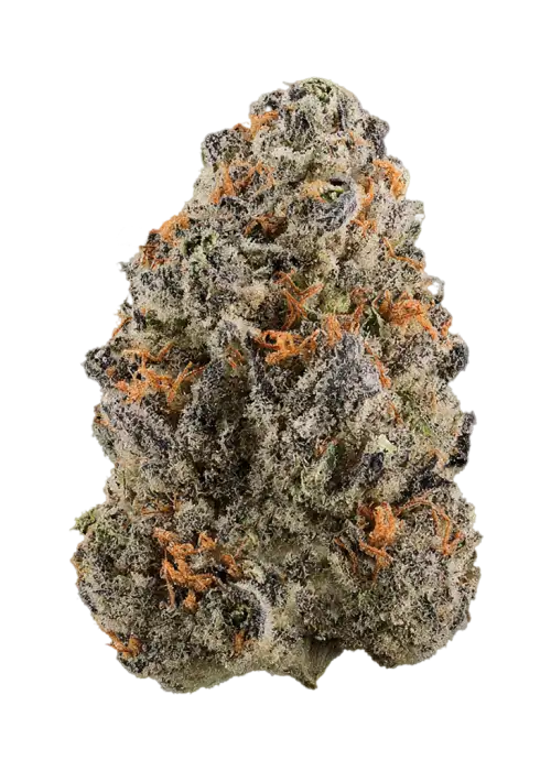 Rush Hour by Obsidian Seeds