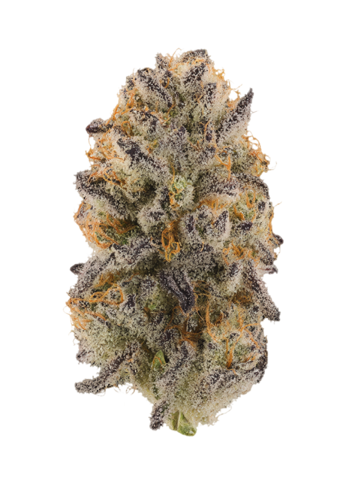 Lap Dance by Obsidian Seeds