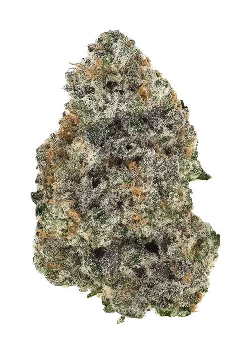 Moose Knucklez