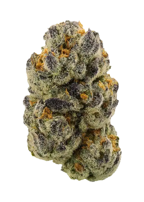 Insidious by Obsidian Seeds