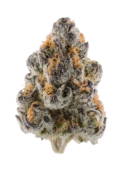 Candied Pineapplez