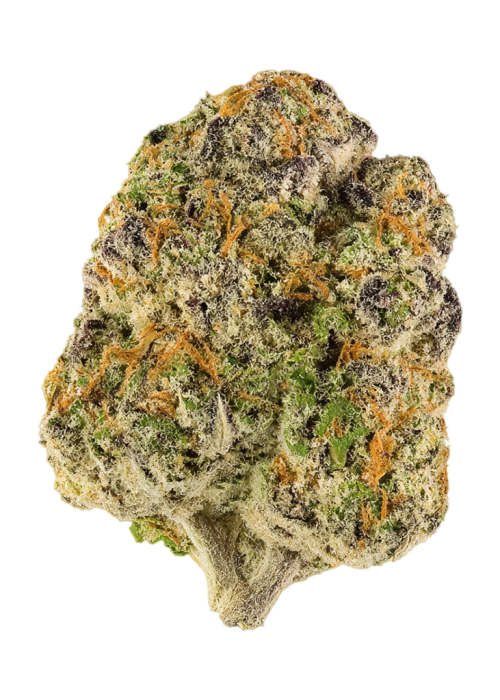 Purple Doses